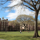 Illustration for article titled Student Files Federal Sexual Assault Complaint Against Brown Univ.